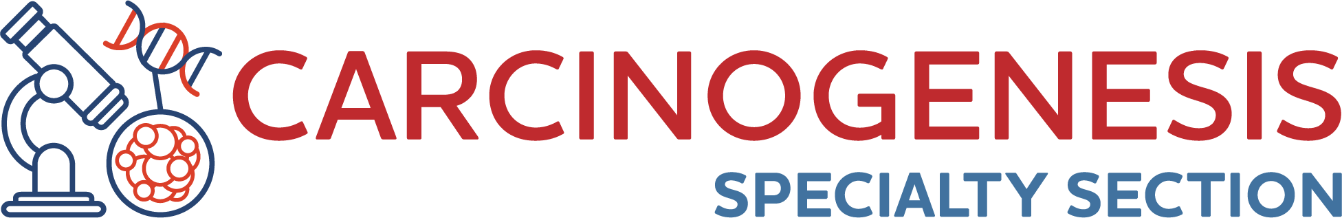 Nano Logo